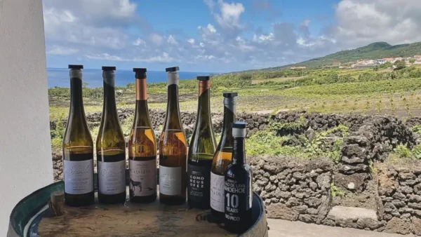 Insula Açores, Insula Vinhos, Insula Pico Wines, Vinhos dos Açores Insula