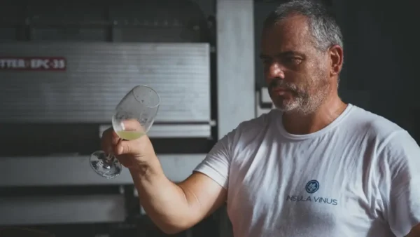 Insula Açores, Insula Vinhos, Insula Pico Wines, Vinhos dos Açores Insula
