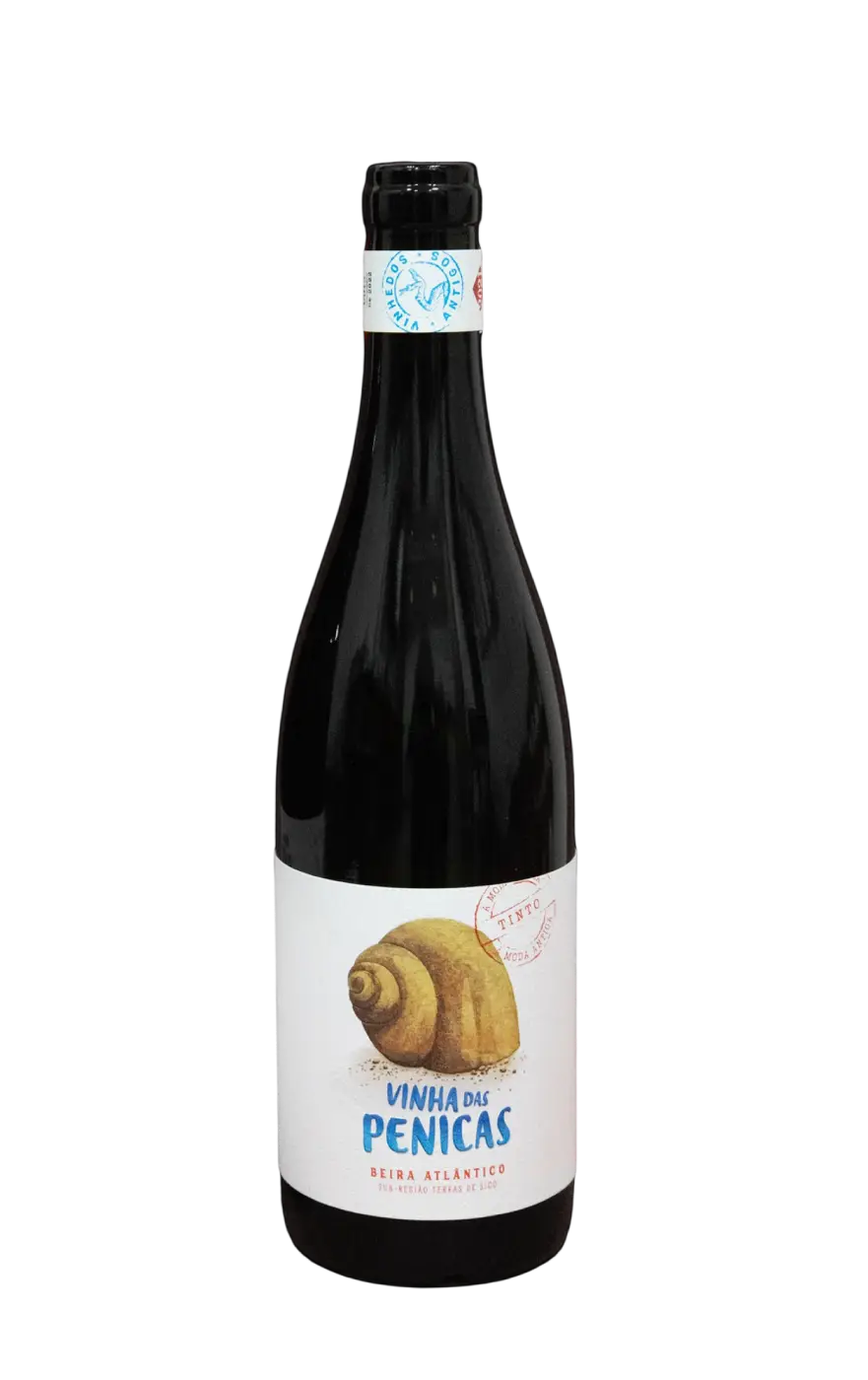 Penicas Moda Antiga, Penicas Vinho Tinto, Penicas Tinto, Penicas Red Wine, Penicas Beira Atlântico, Vinho Penicas