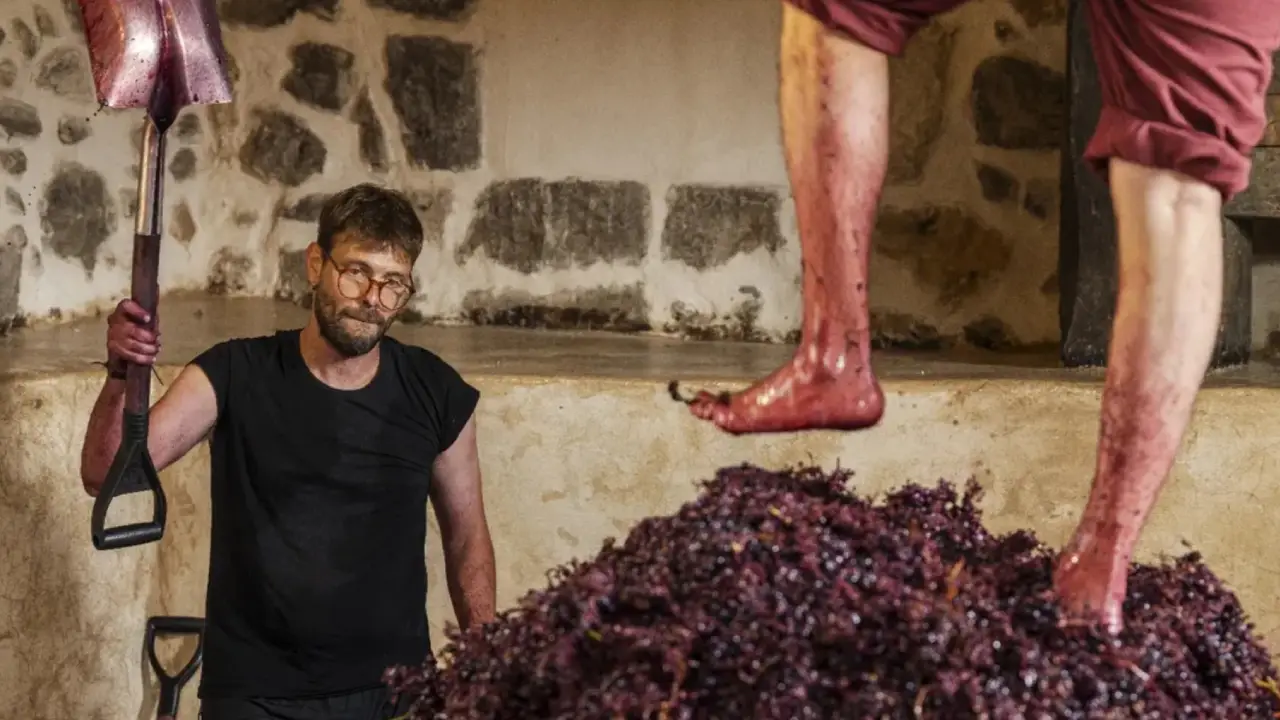 Guimel del Mercado, Casa Lebai Ribeira del Duero, Vinhos Casa Lebai, Vinhos Guimel del Mercado