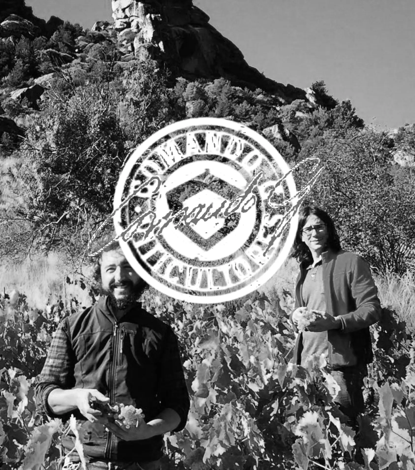 Comando G Serra de Grerdos, Vinhos Serra de Gredos, Comando G Garnacha, Vinhos Madrid, Garnacha Serra de Gredos