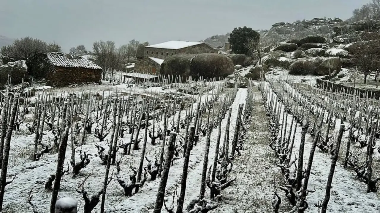 Comando G Serra de Grerdos, Vinhos Serra de Gredos, Comando G Garnacha, Vinhos Madrid, Garnacha Serra de Gredos