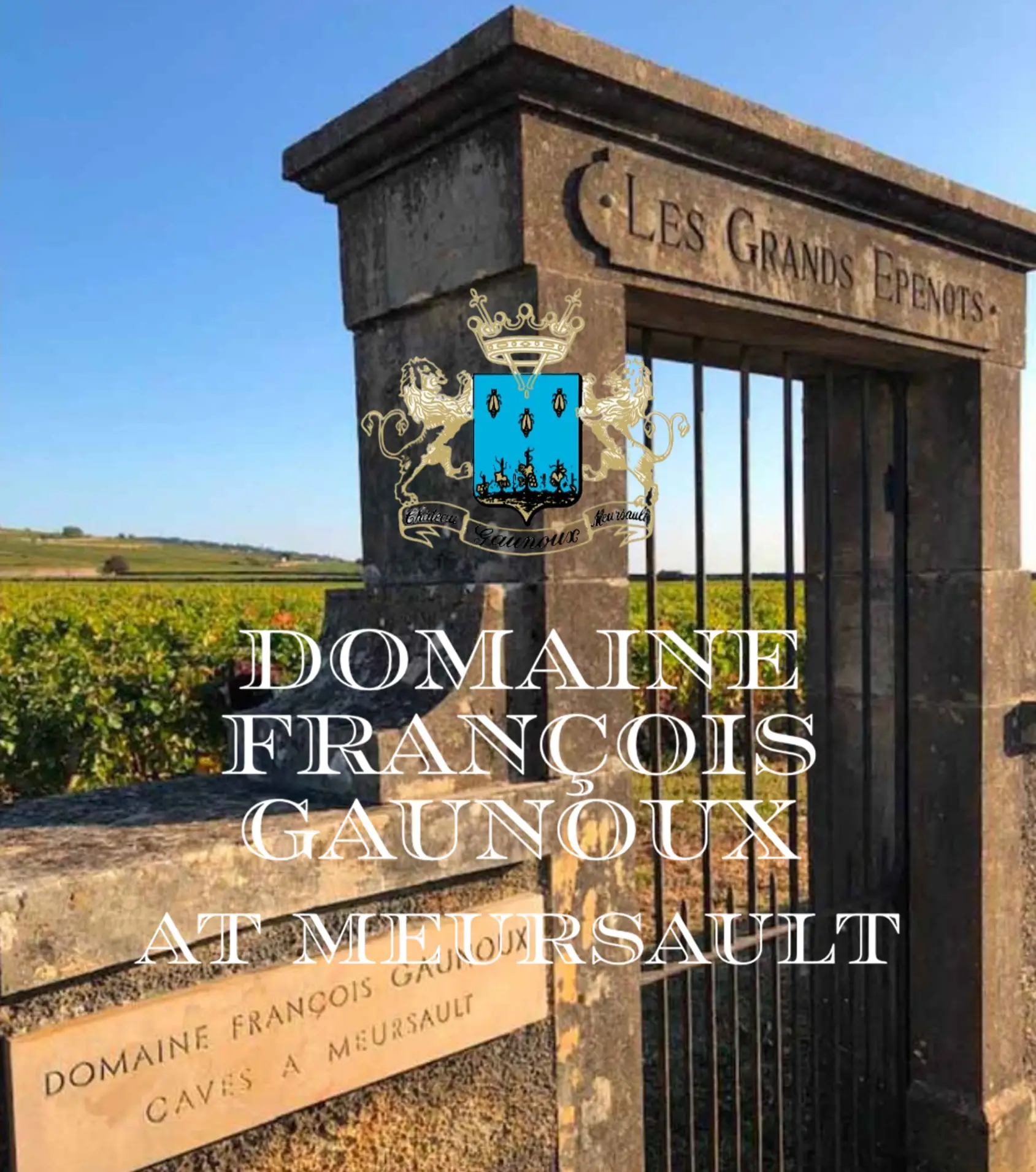 Domaine Gaunoux Borgonha, Gaunoux Borgonha, Vinhos Domaine Gaunoux, Domaine Gaunoux Vinhos da Borgonha