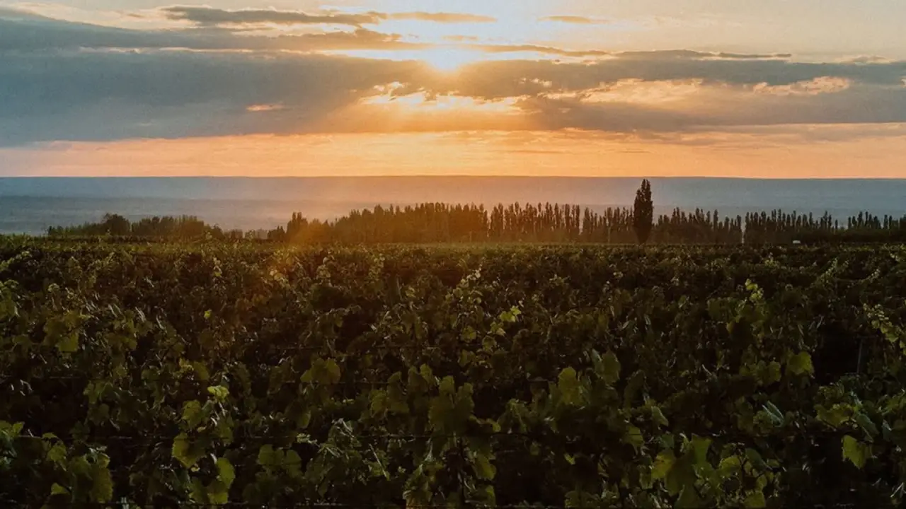 El Enimigo Argentina, El Enemigo Vinhos, El Enemigo Malbec, Malbec Argentino El Enemigo
