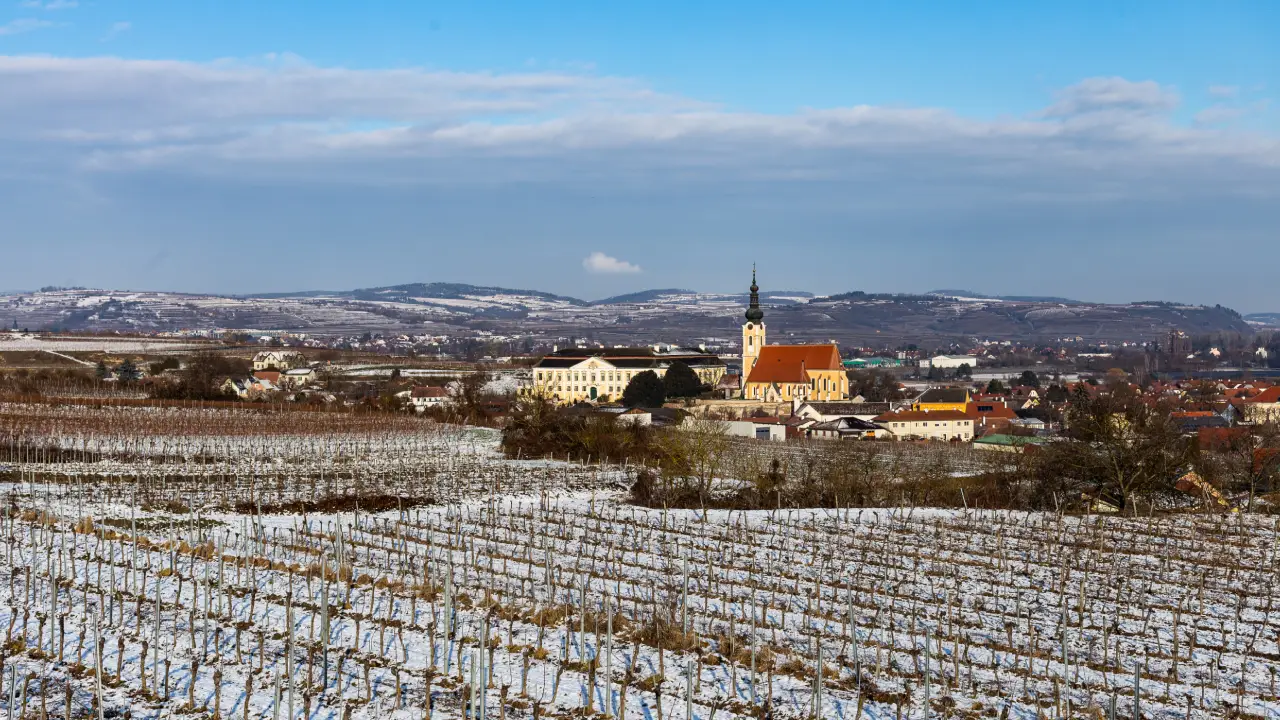 Schloss Gobelsburg Vinhas Schloss Gobelsburg Austria, Vinhos Schloss Gobelsburg, Schloss Gobelsburg Riesling, Schloss Gobelsburg Gruner Vetliner, Schloss Gobelsburg Vinhos Austríacos