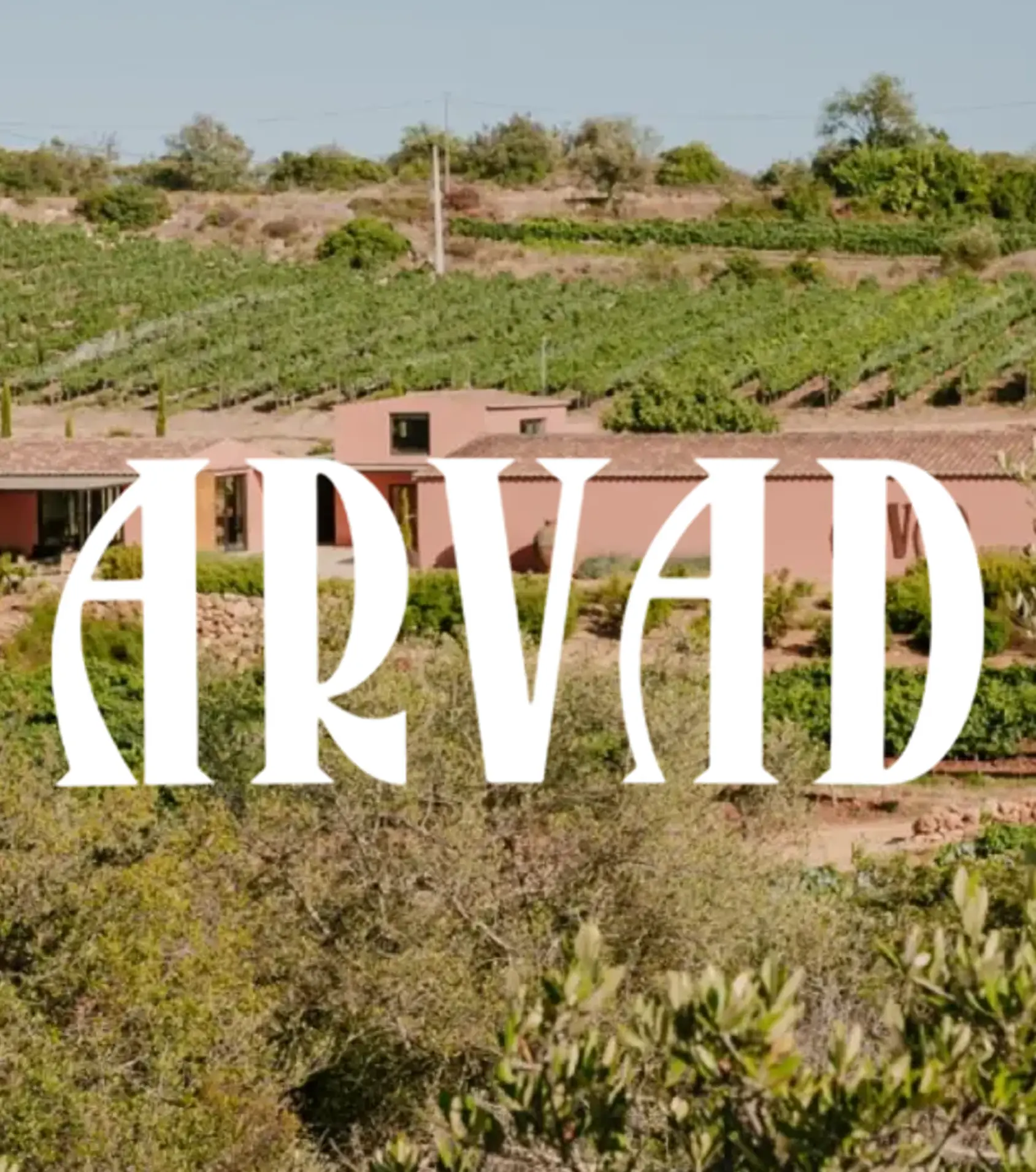 ARVAD Logo Vinhos Arvad Wine, Arvad Vinhos, Arvad Algarve, Arvad Negra Mole, Arvad Vinhos do Algarve, Arvad