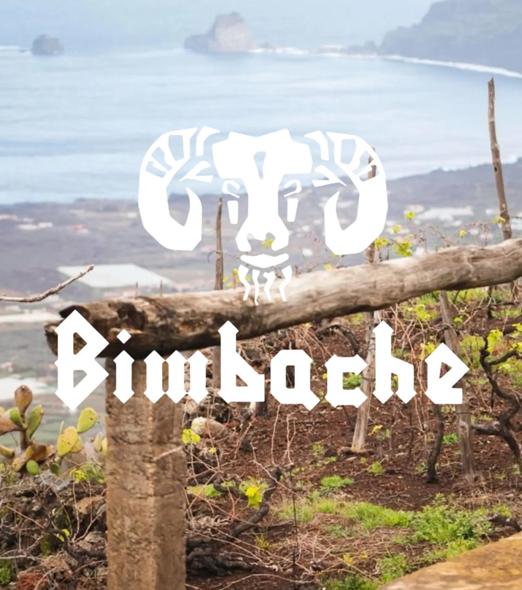 Bimbache Canárias, Bimbache Vinhos das Canárias, Bimbache Vinhos Vulcânicos