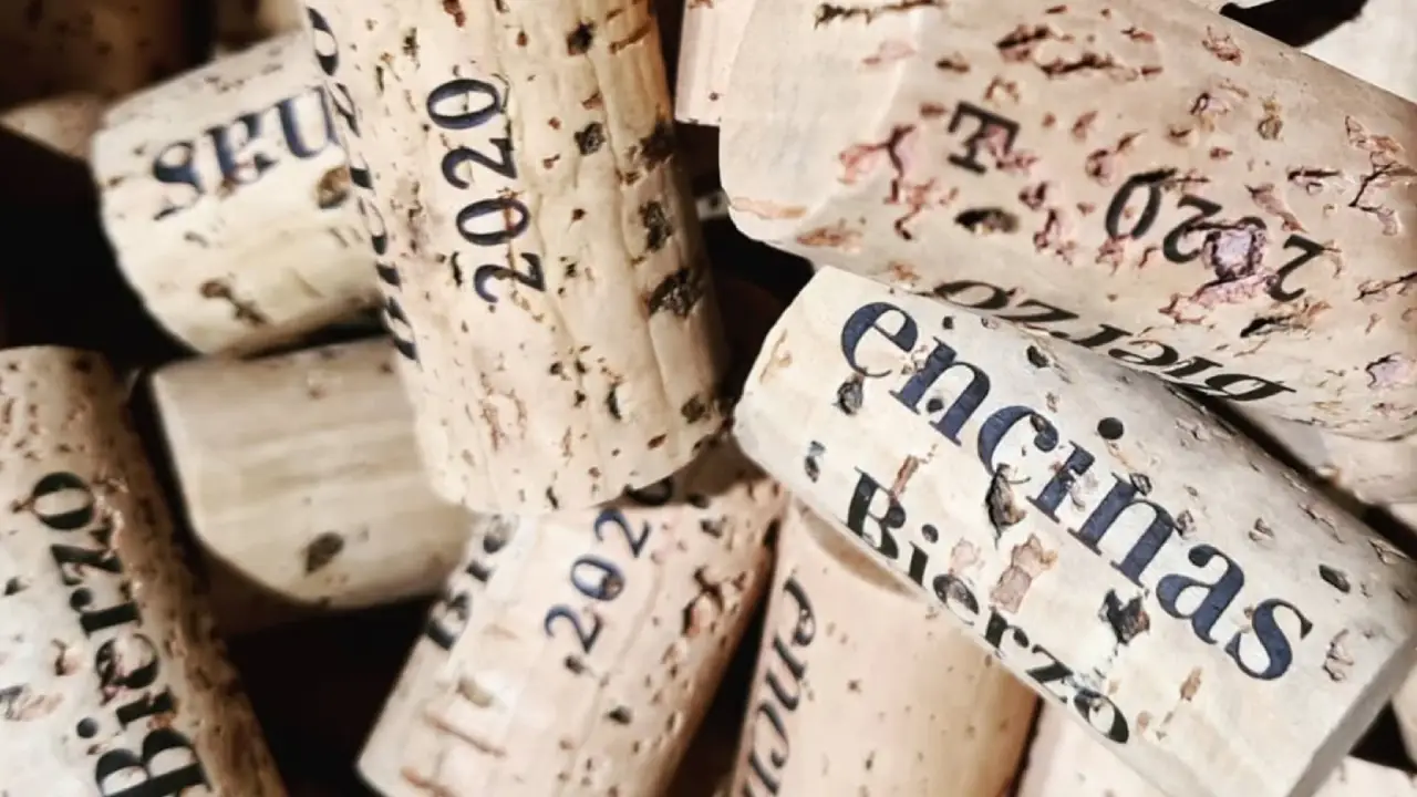 Antoine Graillot e Raúl Pérez, Encinas Bierzo, Raul Perez Encinas, Antoine Graillot Encinas, Vinho Tinto Encinas, Encinas Bierzo