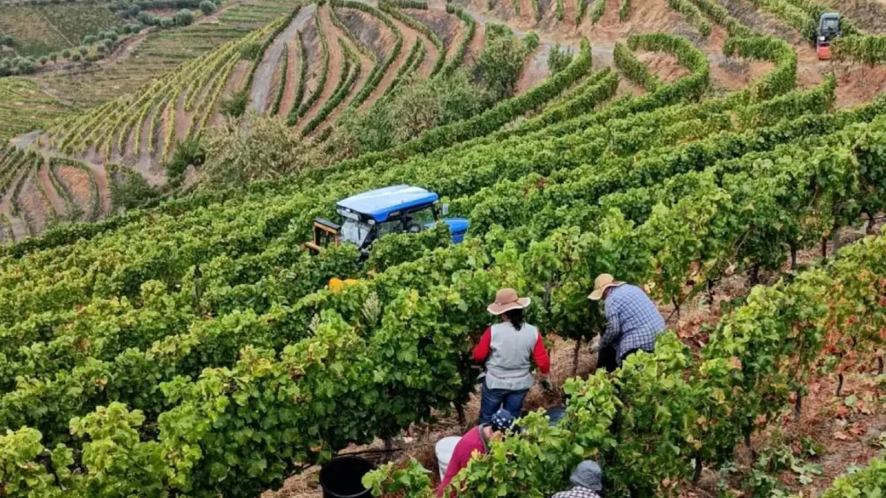 Quinta da Prelada Vinhos do Douro, Quinta da Prelada Vinhos do Porto, Prelada Douro