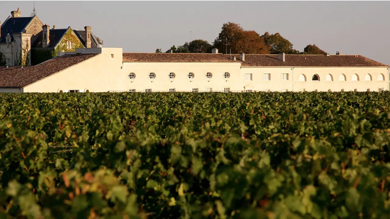 Chateau Mouton Rothschild Vinhas Château Mouton Rothschild