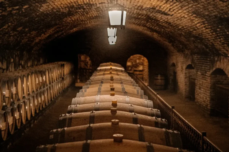 Produtores Pequenos Que Deve Conhecer- uma abordagem minimalista, baixa intervenção e expressão de terroir, Tourinto Premium Wines