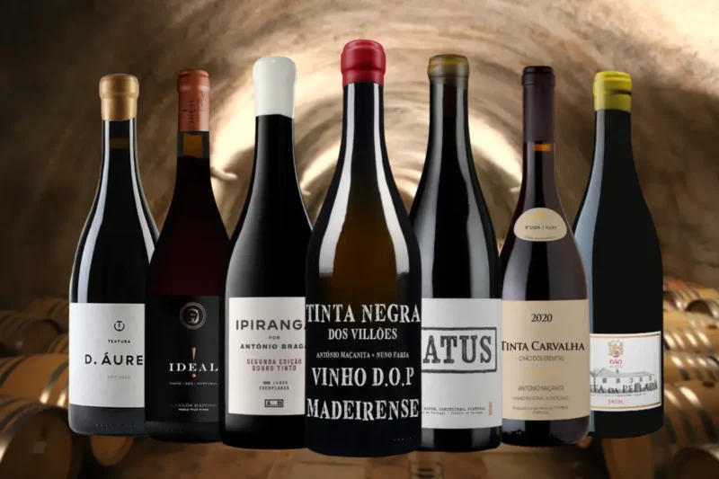 Ready to Drink- Uma seleção de vinhos no momento ideal de consumo, Tourinto Premium Wines