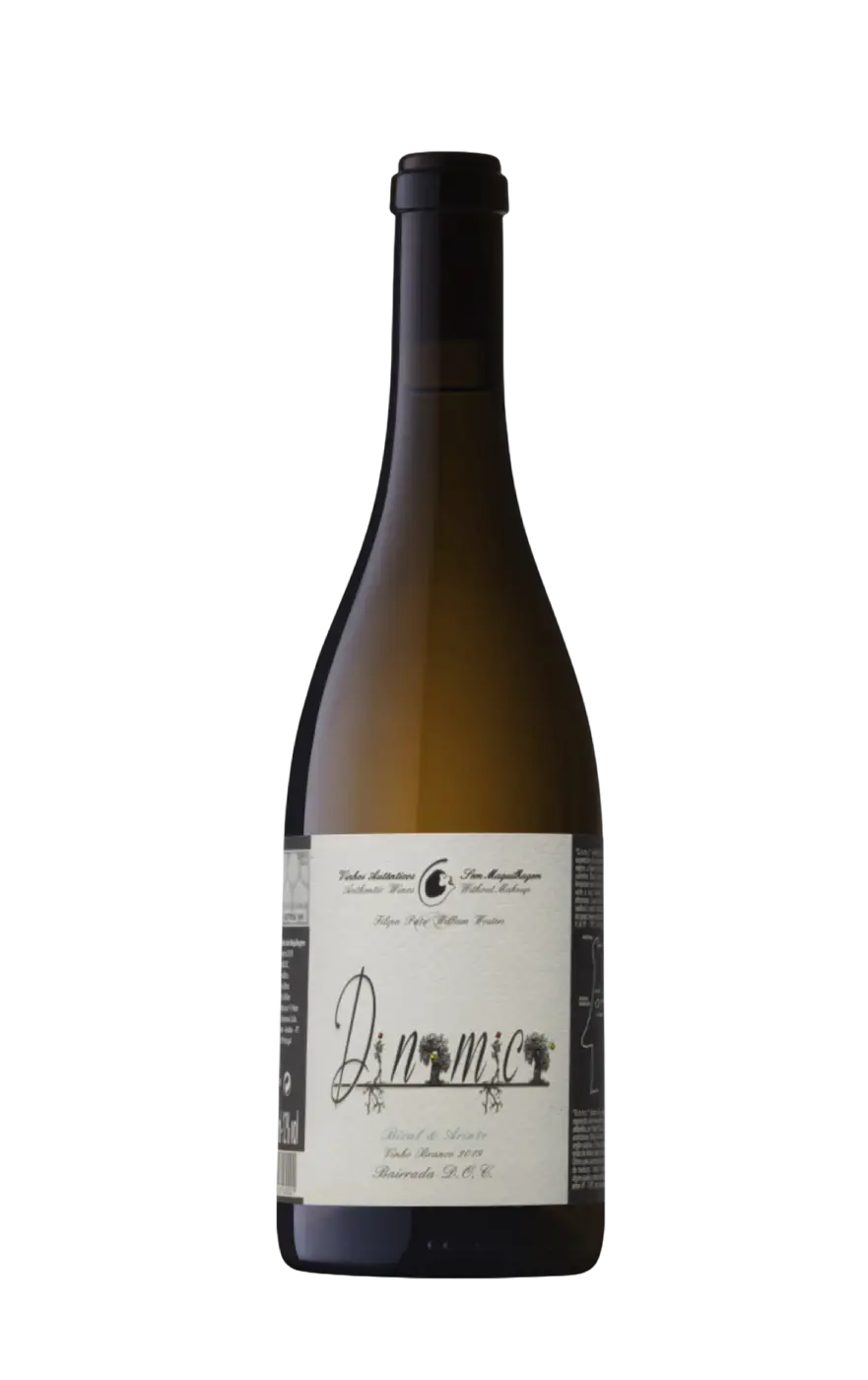 Dinâmica Filipa Pato, Dinâmica Bairrada, Vinho Dinâmica Branco, Filipa Pato Dinâmica Branco
