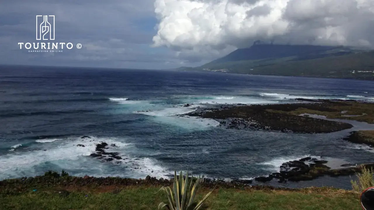 Ilha do Piço Açores