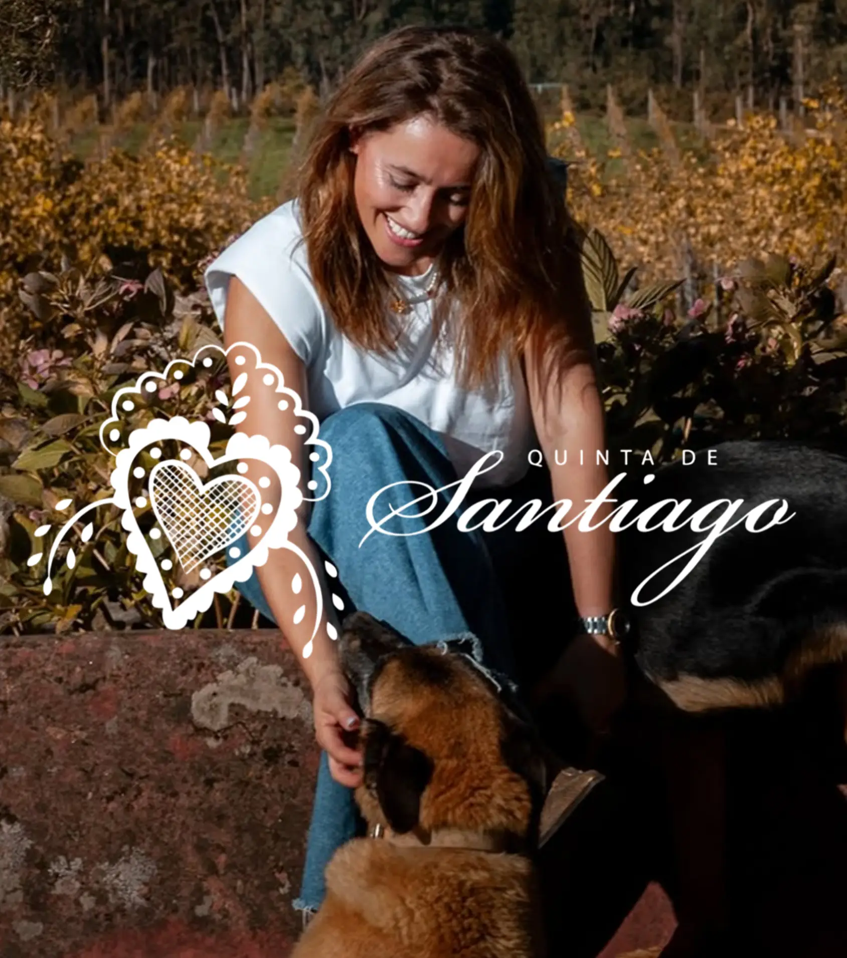 Quinta de Santiago Logo Quinta de Santiago Monção Melgaço, Tourimto Premium Wines