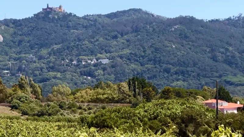 Tourinto Premium Wines